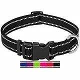 DEY - Premium Hundehalsband Nylon, Reflektierend, Verstellbar, für Kleine u. Große Hunde, viele Farben u. Größen, Hund Welpe, Hunde-Halsbänder, Katzen-Halsband, Welpen-Halsband, Schwarz, S