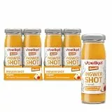Voelkel - Bio Ingwer Shot Original - 16er-Pack - Demeter-Qualität Deutschland