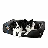 BedDog Hundebett XXL - Hundekissen - Hundekorb - Hundecouch - Hundesofa - Bezug abziehbar, Waschbar, für Mittel-Große Hunde