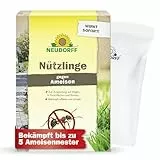 Neudorff Nützlinge gegen Ameisen – 5 Mio. SF-Nematoden zur natürlichen und schnellen Bekämpfung von Ameisen und Ameisennestern auf Rasen, Wegen & Co.