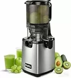 Fretta Entsafter Slow Juicer Entsafter Gemüse und Obst Testsieger, 250W Edelstahl Juicer Machine Saftpresse Elektrisch Obstpresse Kaltpresse,130mm Großem Öffnung, Leicht zu Reinigen (Stainless Steel)