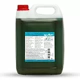 ICE Bär Slush Sirup – 5 L Konzentrat Apfel Kiwi/glycerinfrei/für ca. 30 L fertiges Slush-Ice – Original Slushy Getränkesirup ohne AZO-Farbstoffe