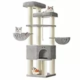 Feandrea Kratzbaum groß, mehrstöckiger Katzenbaum, XXL, 55 x 55 x 186,7 cm, 11 cm d Dicke Sisalstämme, für große Katzen wie Maine-Coon-Katze, Katzenkratzbaum, Taubengrau-cremeweiß PCT008G01