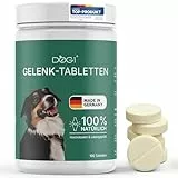 dog1 Gelenktabletten Hund mit Grünlippmuschel & Glucosamin – Made IN Germany – Gelenk- & Knochenschutz – Gelenkpulver für Hunde – Von Tierärzten entwickelt – 120 Tabletten