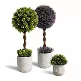 YVONNEYI 3 Stück Kunstpflanze, Buchsbaum Künstlich im Beton-Töpfen für Büro Deko, Künstliche Pflanzen für Wohnzimmer Badezimmer Schlafzimmer Küche Tisch Büro Zimmer Deko - Sedum Dasyphyllum