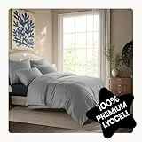 Seralino Tencel Bettwäsche 135x200 Grau Hellgrau + 80x80 cm | 100% Lyocell Bettwäsche Set (Tencel) | hochwertig & weich mit Reißverschluss | Oeko-Tex | Allergiker Bettwäsche | Atmungsaktiv