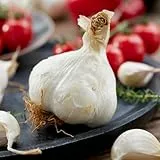 Winterpflanzknoblauch Messidrome (500 gr) - Steckzwiebeln Winterhart - Hoher Qualität aus Holland (kein Samen) - Mild scharfe Gemüsezwiebel - Steckzwiebel größe 14-21 mm