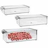 HEKOBAG Kühlschrank Organizer Schublade Stapelbar Kühlschrank Organizer Schubladenbox mit Deckel Kühlschrank Box 3 Größen Aufbewahrungsbox Kühlschrank Vorratsbehälter mit Abtropfbrett für Obst Gemüse