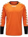 hummel Essential Torwarttrikot F7905 orange, L Herren