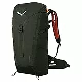 Salewa Alp Mate 26L-Rucksack, Grün