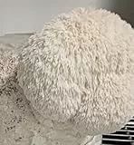 Premium Getrocknete Igelstachelbart-Pilze | Hericium erinaceus | Lions Mane | 100% Natürlich | 100g