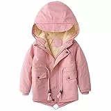 linboo Kinder Winterjacke Jungen Mädchen Warm Gefütterte Blouson Hoodie Dicke Mantel Parka Baby Wintermäntel, Rosa, 92-98(Etikettengröße: 100)