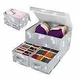 EASEVE 2 Stück Schubladen Ordnungssystem Kleiderschrank Organizer - Aufbewahrung Kleidung Organizer Schrank, Faltbare Aufbewahrungsbox Stoff für BH, Socken, Unterwäsche, Höschen, T-shirt, Pullover