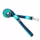 Max & Molly Urban Pets Matrix Sky Blue - Einzigartiges Design - Komfortabel - Sicher - gepolstertes Neopren - sportlich und elegant - Kurze Leinen, M