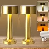 KUWUNG 2 Pack Led Akku Tischlampe Kabellos, Touch Dimmbar Tischleuchte Gold Nachttischlampe, USB Aufladbar Retro Tischlampe Mit 3 Farbwechsel, Flowerpot Geeignet Für Indoor Esszimmer Bar Terrasse