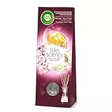 Air Wick Duftstäbchen – Raumduft Sommervergnügen – 1 x 30 ml Lufterfrischer für die Wohnung