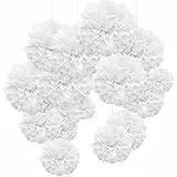 WEARXI Hochzeit Hochzeitsdeko Vintage Lampions, 24er Pompons Deko Weiß, Seidenpapier Pompoms, Party Deko, Taufe Konfirmation Deko, Kommunion Dekoration für Geburtstag, Valentinstag deko, Vintage deko