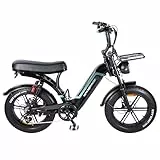 OUXI Q8 E-Bike 20 Zoll Fatbike Elektrofahrrad Pedelec, 250W Motor 60Nm, 48V 15Ah Akku 60-80km, Hydraulische Scheibenbremsen, Vollfederung, Blinker & Frontgepäckträger (Schwarz)