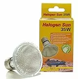 Lucky Reptile Halogen Sun - 35 W Wärmestrahler für E27-Fassungen - Halogenstrahler für Reptilien - Terrarium Lampe mit Tageslichtspektrum - Wärmelampe dimmbar