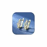 Angebote Des Tages Heute, Angebote Des Tages Heute Diamant Ohrringe, Hypoallergen 925 Sterling Silberohrringe Outlet Meine Bestellungen Bei Amaon