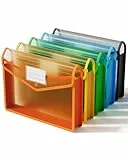 ThinkTex Dokumententasche A4 transparent, Dokumentenmappe mit Druckknopf, abheftbar Organizer Dokumente für Schule Büro Hause Reise - 5 Stück