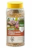 Pokon Balkonpflanzen Dünger mit Langzeitwirkung, 800g