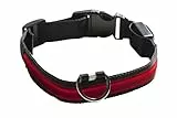 EYENIMAL Light Halsband