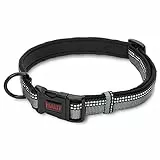 HALTI Komforthalsband - Hundehalsband mit Neoprenpolsterung, 3M-Reflektorgewebe und verstellbarer Riemen. Geeignet für mittelgroße Hunde (Größe M, Schwarz)