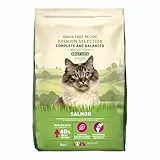 by Amazon Katzenfutter für ausgewachsene Katzen, Fein zubereitetes Trockenfutter mit frischem Lachs, Getreidefreie Rezeptur, 3 kg (1er-Pack)(Zuvor eine Marke von Lifelong, gleiches Produkt)