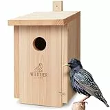 wildtier liebe Starenkasten Großer Nistkasten für Stare - Vogelhaus Nistkasten für Star aus Unbehandeltem Massiv-Holz, Starennistkasten Wetterfest und Artgerecht nach NABU