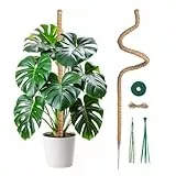 Mcbazel 120CM Monstera rankhilfe Kokosfaser Rankhilfe mit Zubehör, Rankhilfe Monstera, Pflanzenstütze für Monstera Stab Kletterpflanzen im Innenbereich