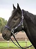 Halfter RIDING