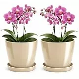 PECZEKO Blumentopf glänzender, Pflanzkübel aus Übertopf Kunststoff Dekorativer Topf für, groß und klein Pflanzen, 2er-Set blumenkübel mit Untersetzer, blumenkübel kräutertopf, Beige, ø 14 cm