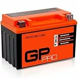 GP-PRO Gel-Batterie 12V 12Ah GTZ12S Motorradbatterie, wartungsfrei versiegelt vorgeladen ähnlich YTZ12S YTX12A-BS