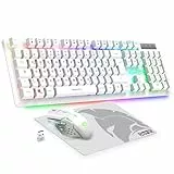 EMPIRE GAMING - Armor RF800 Wireless Wiederaufladbare Gaming Tastatur und Maus Set QWERTZ (DE-Layout) - Tastatur 2,4GHz RGB - Maus 4800 DPI mit Mauspad - PC PS4 PS5 Xbox One/Serie Mac - Weiß