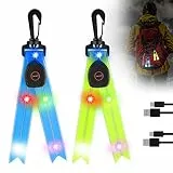 Vaileal LED Blinklicht Schulranzen - 2er USB Aufladbar Kinder Reflektoren Blinklicht Schulranzen Sicherheitslicht, wasserdichte Sicherheit Licht Reflektor Anhänger für Schulranzen (Blau+Grün)
