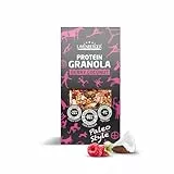 Layenberger Protein Paleo Granola, 22% Eiweiß 9% Ballaststoffe, laktosefrei, Single Pack (1 x 350 g) - Beere Kokosnuss