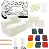 ETUOLIFE Kerzen Selber Machen Set, DIY Kerzenherstellung Kit für Erwachsene, Kerzenwachs zum Gießen, 960g Sojawachs, Kerzenwachs Farbstoffe Docht