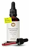 SUNDAY NATURAL® Vitamin B12-500 µg pro Vitamin B12 Tropfen – Bioaktive Formen B12 Methylcobalamin + Adenosylcobalamin – 900 Tropfen – Laborgeprüft, vegan, ohne unnötige Zusätze - Perfekt zum Teilen