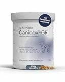 NutriLabs Canicox®-GR Nahrungsergänzung für Senioren-Hunde 500 g - Pellets für Senioren-Hunde mit MSM, Chondroitin, Glucosamin, Ginseng, Weißdorn u.v.m. - Gesundheitsprodukte für Hunde