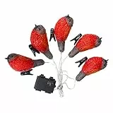 SOLUSTRE Wasserdichte Vogel Lichterkette Led Mini Dekoration Für Innen Und Außen Mit Kreativen Lichtakzenten Für Partys Und Feiertage