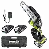 Supstable Mini Kettensäge mit Akku, 6-Zoll-Handkettensäge mit 2 x 2.0 Ah Akkus und Ladegerät, Einhand Astsäge elektrisch für Gartenbäume, Astschere und Holzschneiden