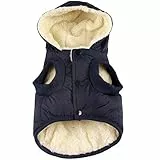 JoyDaog Warmes Fleece Hund Hoodie im Winter, kleine Hundejacke Welpe Mäntel mit Kapuze (Blau S)