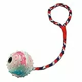 Kerbl Pet Ball am Seil, Hundespielball, 30cm, ø 6cm, blau/rot/weiß, Gummiball, zum Werfen und Zurren, mit Glöckchen