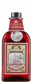 V Sinne Raspberry Magic Gin
