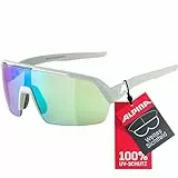 ALPINA, smoke-grey matt