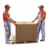 SafeCore Tragegurte Umzug 2 Personen bis 450 kg, Schultergurte 3,5 m