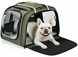 pecute Katzentransportbox Großer Raum mit Sichtfenster- Faltbare Transporttasche für Katzen und Kleine Hunde, mit Oben Öffnen & Waschbare Matte, Haustiertasche für Auto, Reisen, Tierarzt, Grün, XL