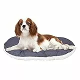 FERPLAST Hundebett & Katzenbett - Hundebett Mittel - Hundebett Waschbar - Hundekissen - Matte für Hundehütten, Zwinger und Auto - Hundebett Flauschig - Relax - 65 x 42 CM, M, BEIGE