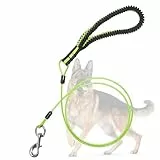 Mi Metty Hundeleine 5ft Leinen für Hunde，Kausichere Hundeleinen,Kettenleine Für mittlere bis große Hunde (Grün, 3ft/0.9m)